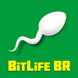 Bitlife Br Mod Apk 1.6.17