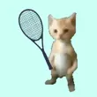 Cat Tennis Champion APK