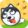 Crazy Dog Earning App APK