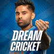  Dream Cricket 2023 APK