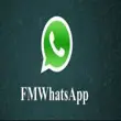 FM WhatsApp APK