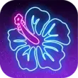 Hana APK