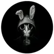 Rabbit Web APK 2022